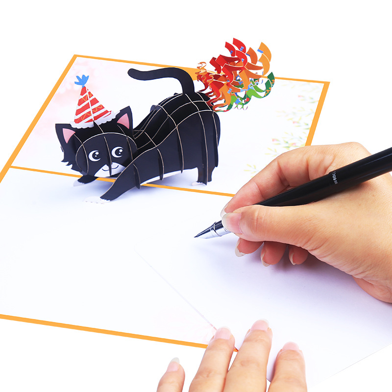 Happy Birthday Pop-up Greeting - Photography Jokes recension och pris