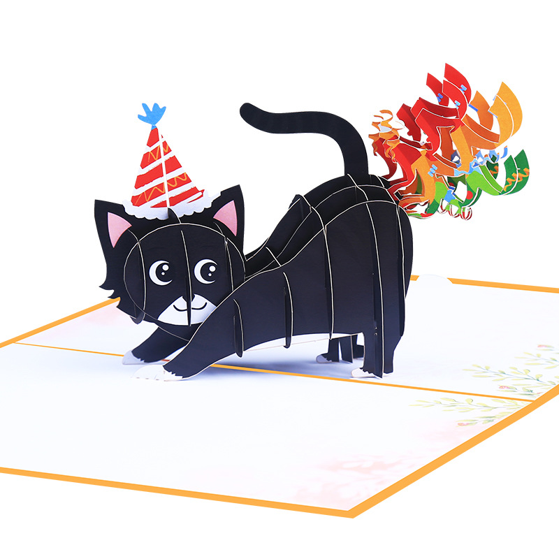 Happy Birthday Pop-up Greeting - Photography Jokes recension och pris