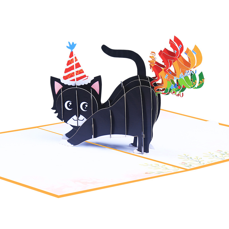 Happy Birthday Pop-up Greeting - Photography Jokes recension och pris