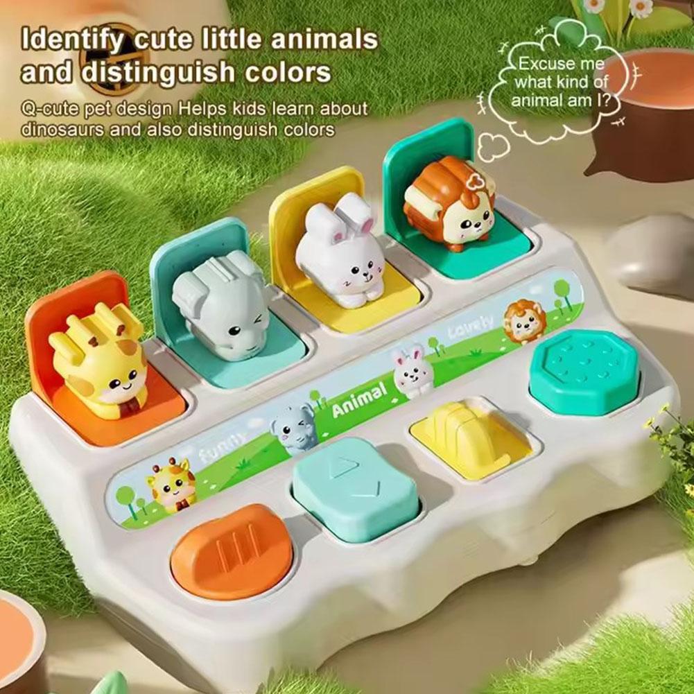 Montessori Pop up Animal Toys  - Photography Jokes recension och pris